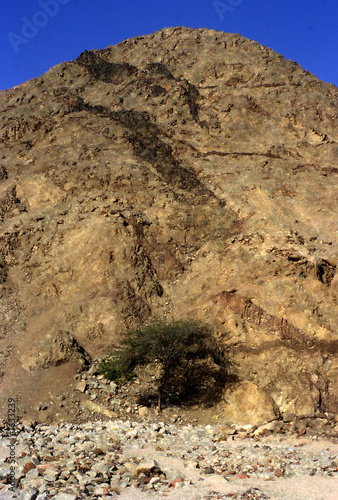 sinai
