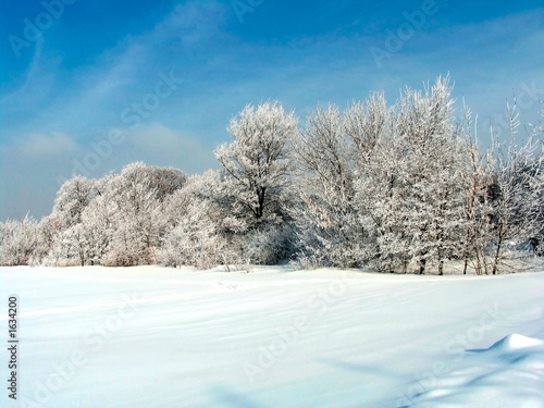 russian winter