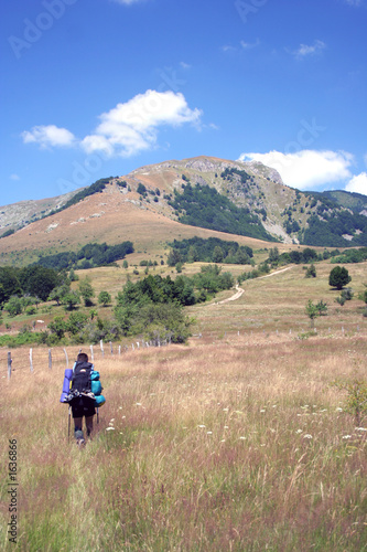 hiker walking in the mountains