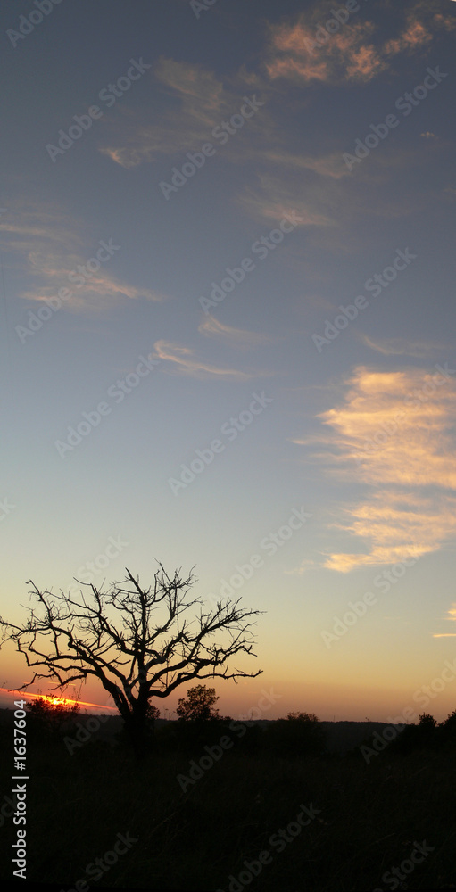 soleil couchant souge soleil couchant souge