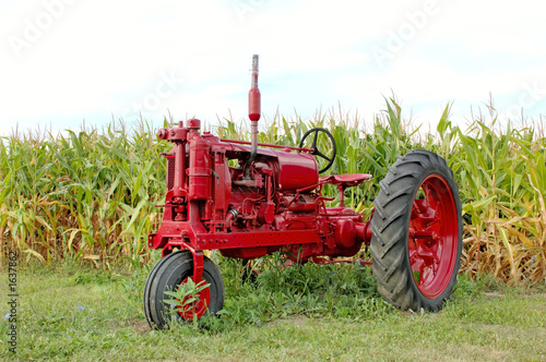 antique red tractor and corn