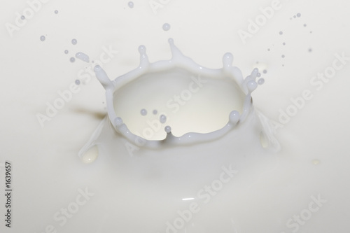 milk crown