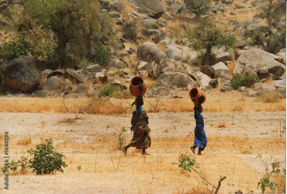 Fototapeta premium 2 africaines en brousse
