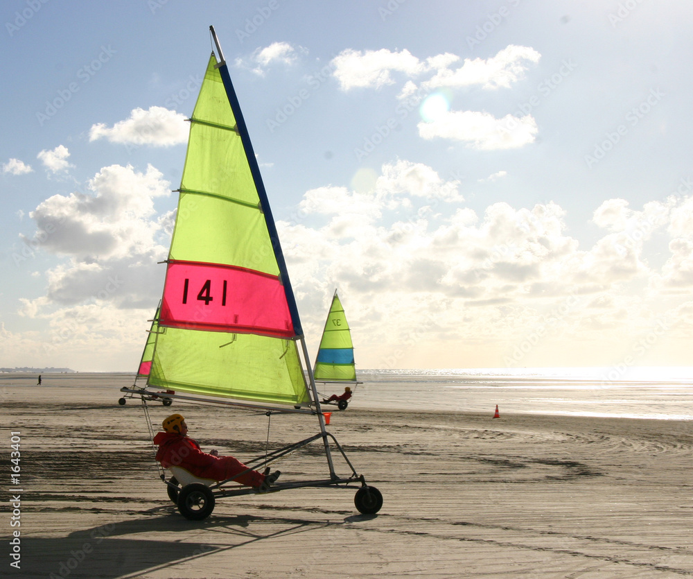 Fototapeta premium char à voile