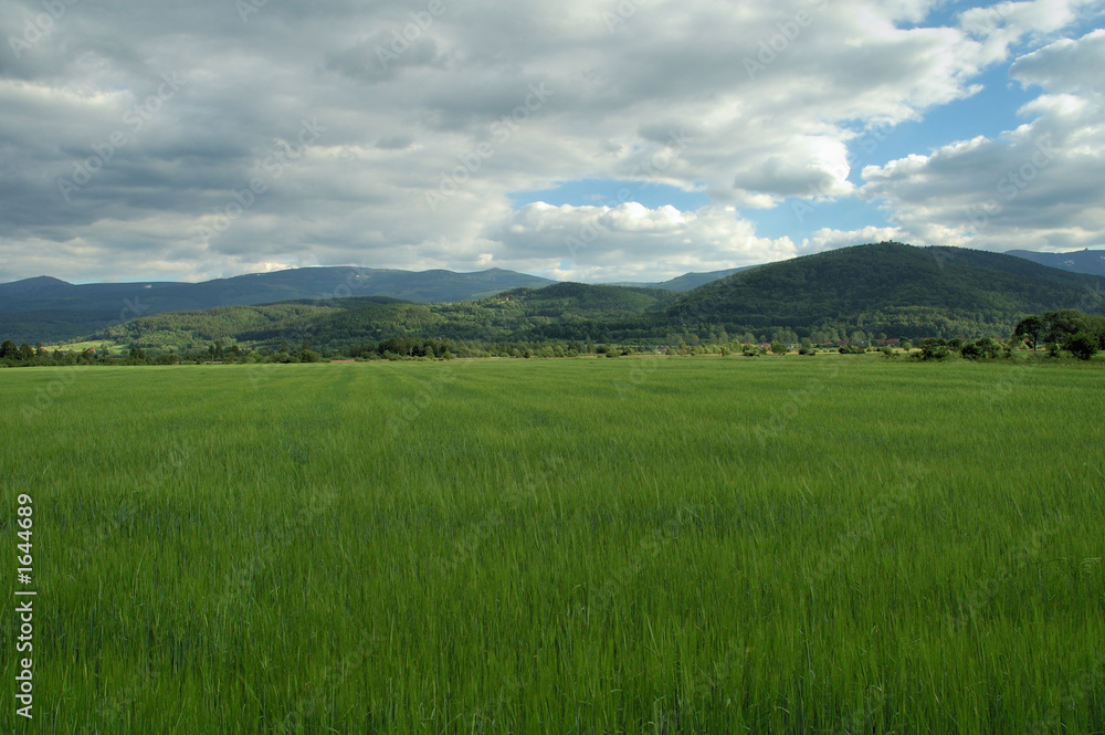 meadow and mountain