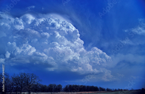 Принти на полотні billowing storm 2