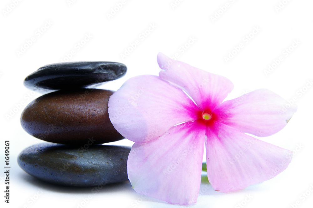 pink flower and stones pink flower and stones