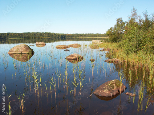 stony forest lake