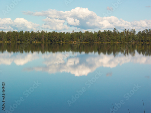 forest lake mirror