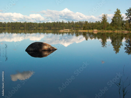 forest lake reflection