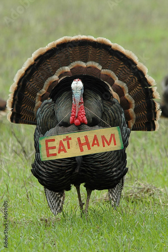'eat ham' turkey