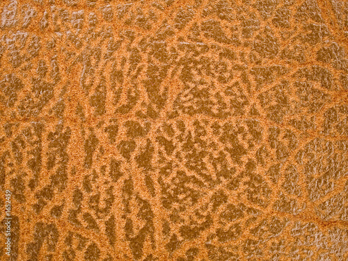 macro texture - textiles - leather