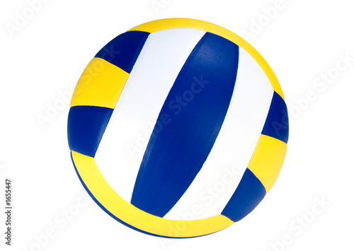 volleyball ball