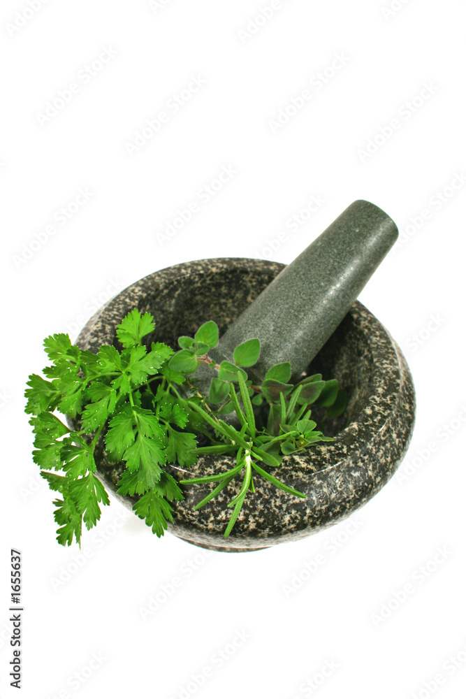 mortar and pestle with fresh herbs