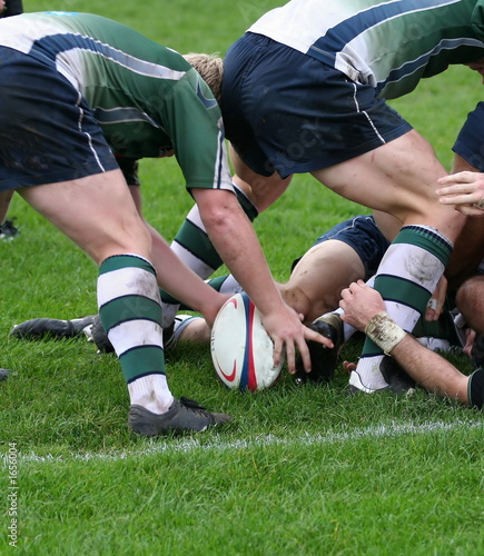 rugby