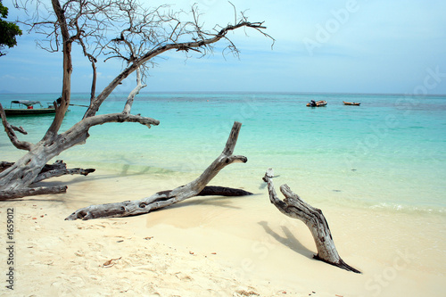 andaman beach xix