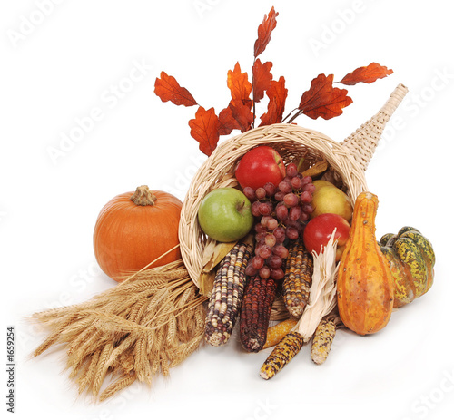 cornucopia photo