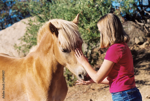 girl petting horse