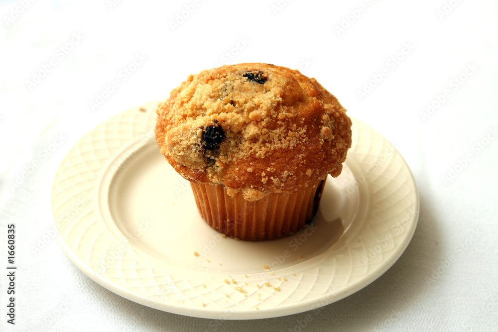 blueberry muffin blueberry muffin