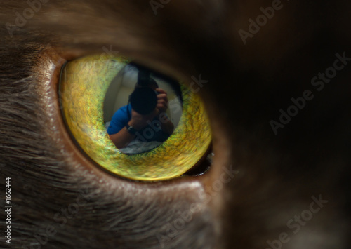 photographer self-portrait in cat's eye