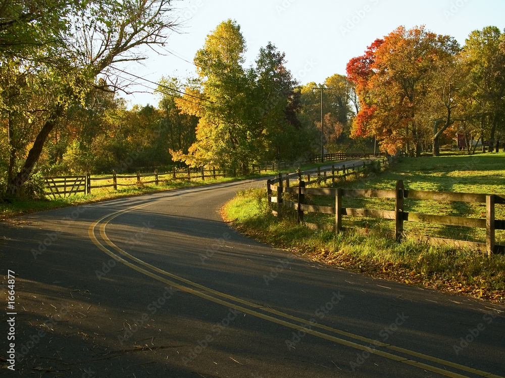 Naklejka premium country road
