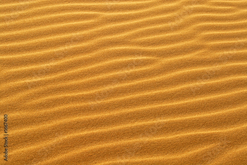 pattern of golden sand on sand dune © David Smith