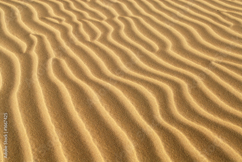 ridges of sand formed in sand dune