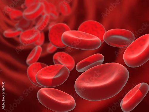 blood cells
