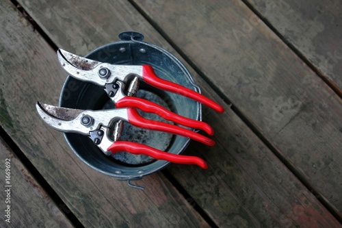 hand pruners
