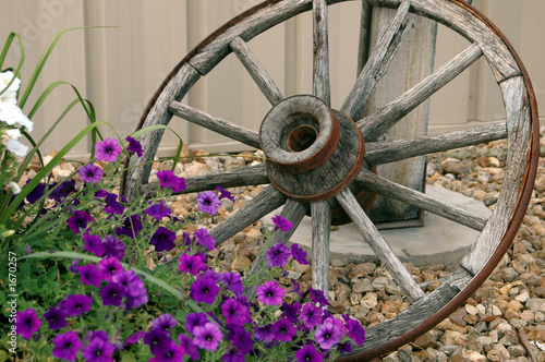 wagon wheel and flowers photo