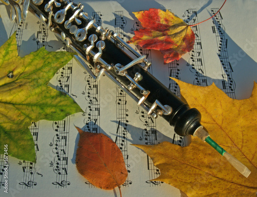 autumn: oboe and colorful leaves on music page