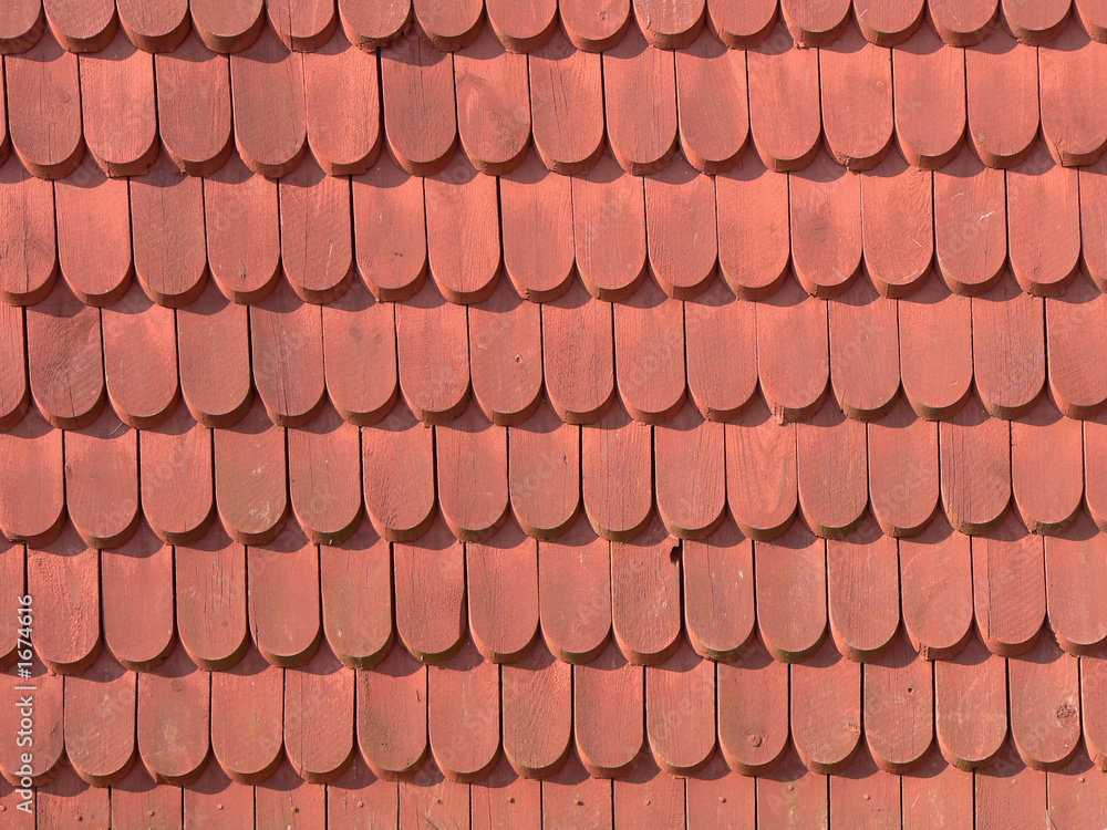 scaly wall scaly wall