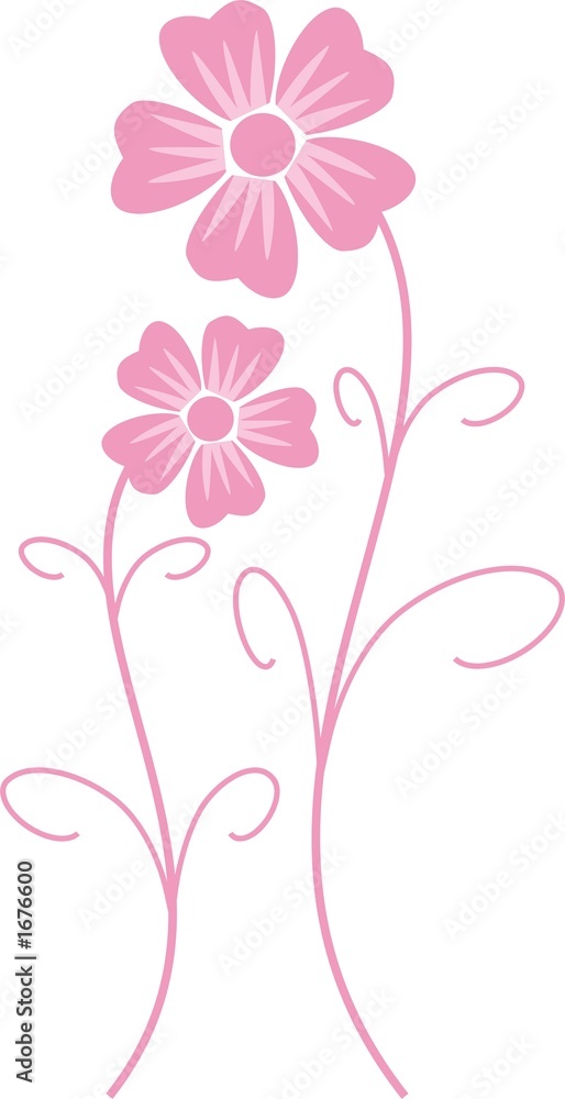two flowers two flowers