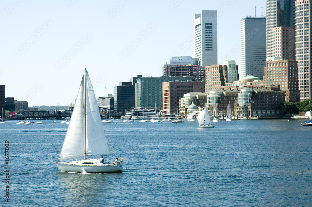 Fototapeta premium sailing on St Charles river, Boston, Mass 
