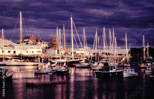 camden harbor