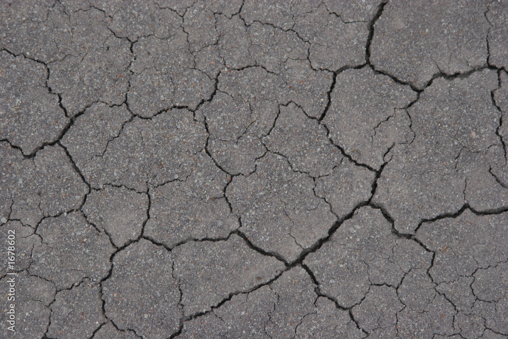 dry earth background dry earth background