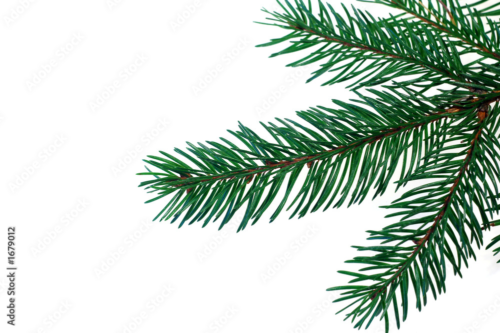 christmas tree #3 christmas tree #3