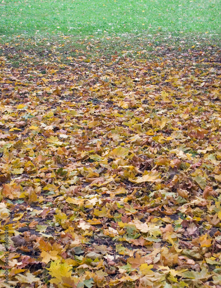 autumnal gradient (2) autumnal gradient (2)