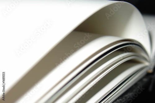 pages of a book