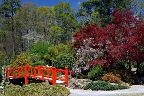 japanese garden