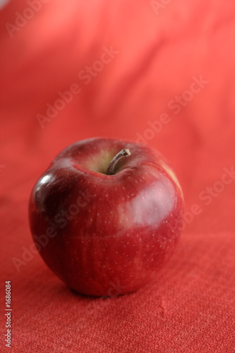 red ripe apple