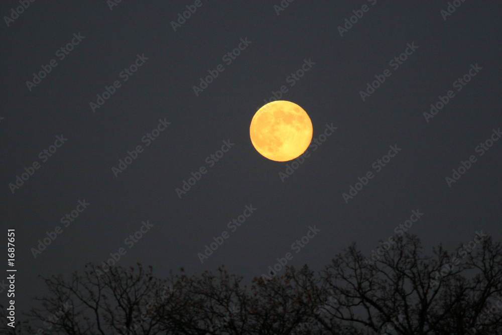 october moon rising october moon rising