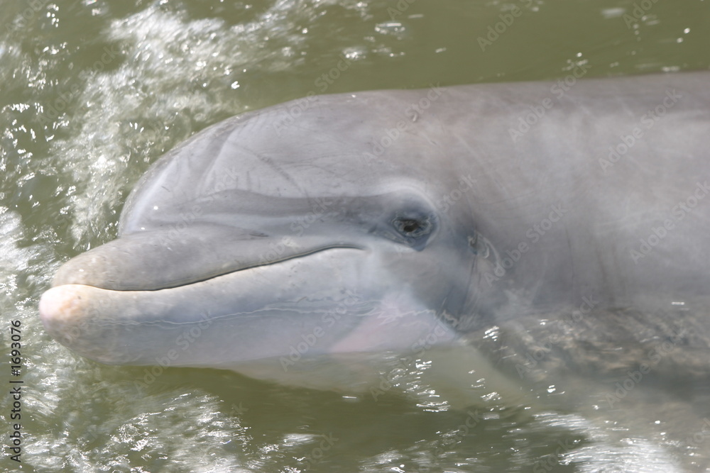 Fototapeta premium another view