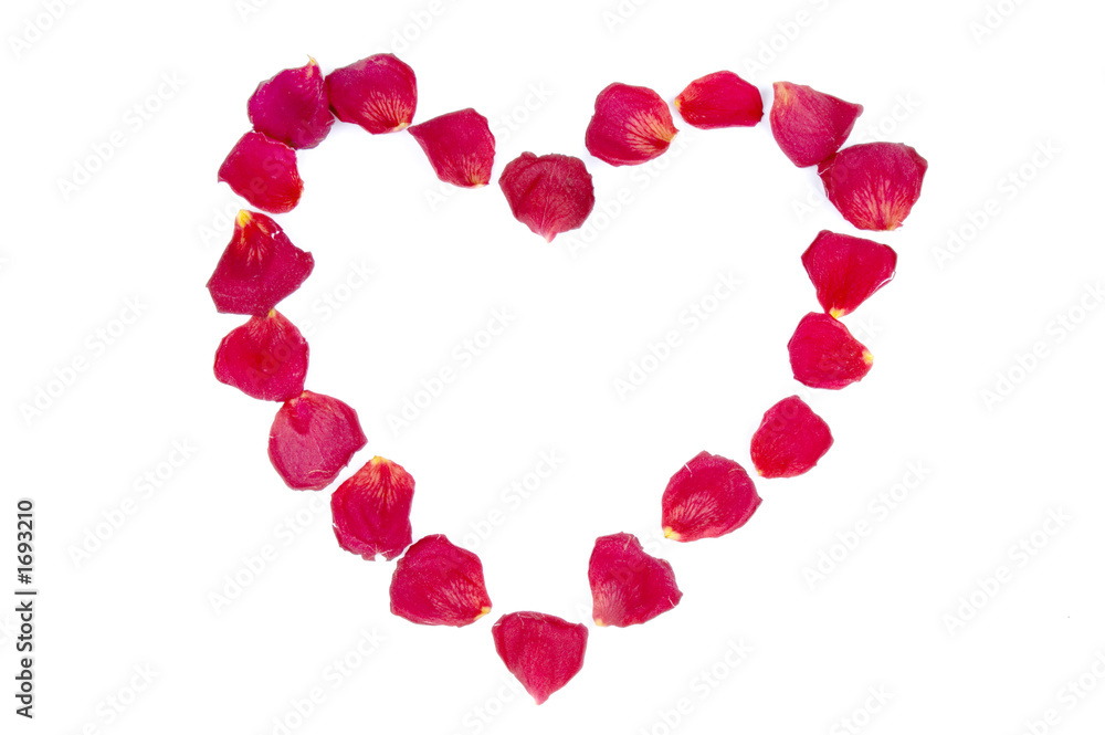 heart frame from red rose petals