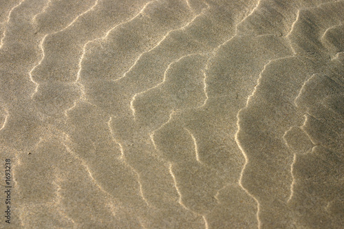 beach reflections