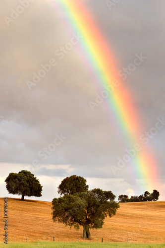 rainbow
