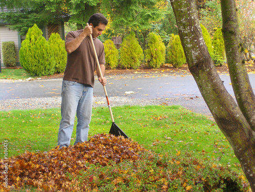 Quadro su tela man raking leaves