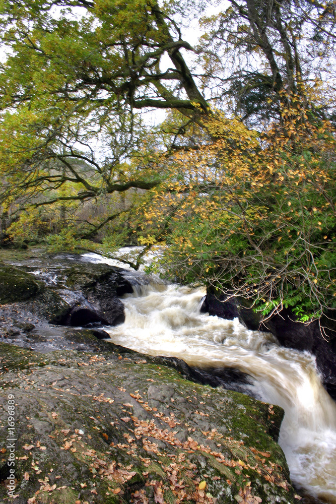 Fototapeta premium waterfall1