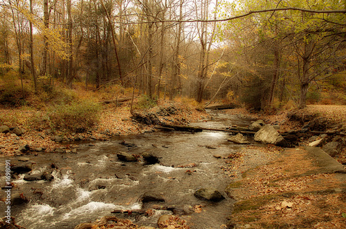 babbling brook