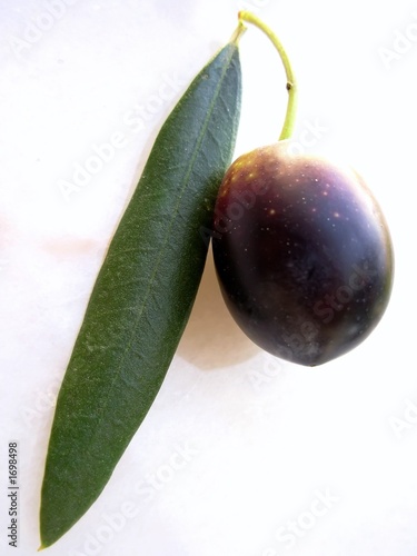 olive photo